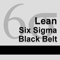 Lean Six Sigma Black Belt Certification - 180 Day Access