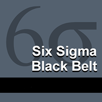 Six Sigma Balck Belt Certification - 90 Day Access